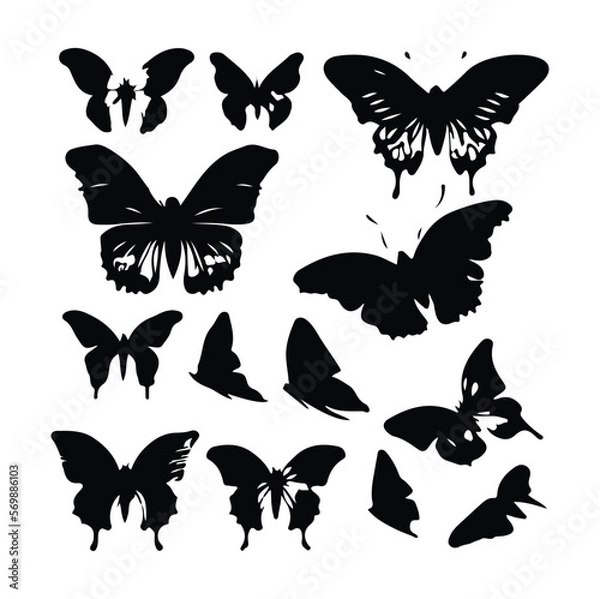 Fototapeta Vector collection of butterfly silhouette