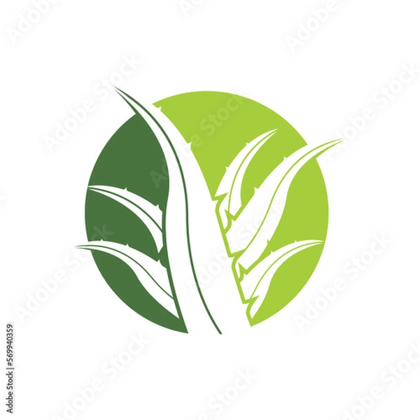 Fototapeta Aloe Vera logo icon design symbol beauty