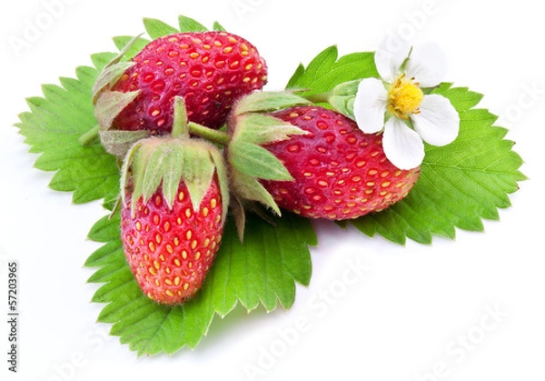 Fototapeta One rich strawberry fruit isolated on a white.