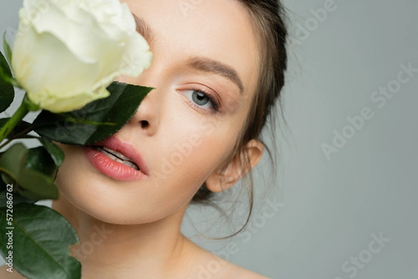 Fototapeta portrait of young woman with clean skin obscuring face with fresh rose and looking at camera isolated on grey.