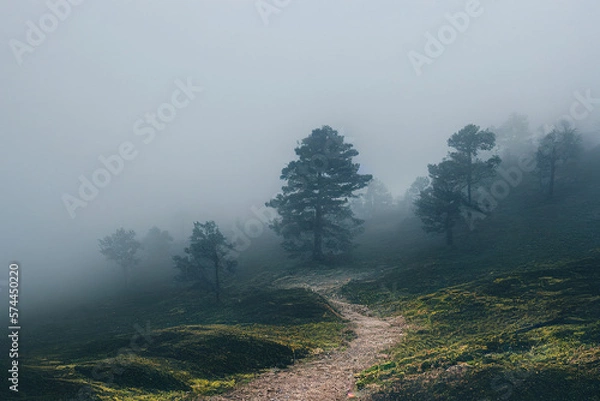 Fototapeta Hügellandschaft Highlands im Nebel