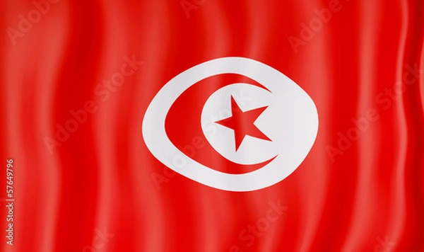 Fototapeta National Flag of Tunisia