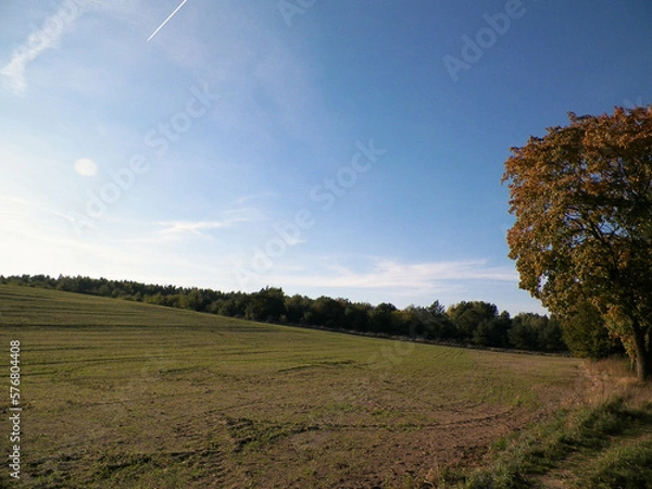 Fototapeta End of summer - autumn trees and fields. Mechelinki, Poland.