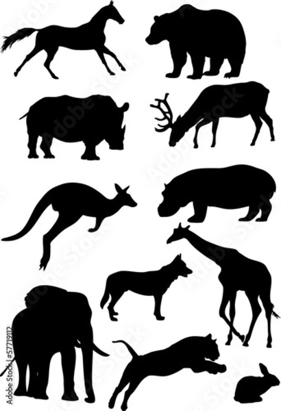 Fototapeta Silhouettes of mammal