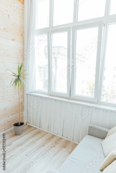 Fototapeta a sofa with a green plant stands by the window in a bright room