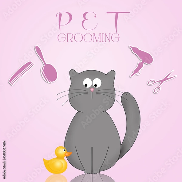 Fototapeta Pet grooming