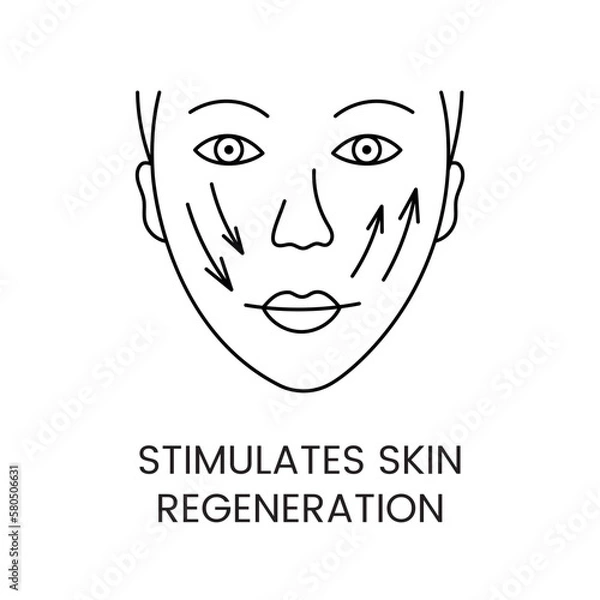 Obraz Stimulates skin regeneration line icon in vector, girl face illustration with arrows