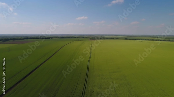 Fototapeta Aerial View of Vibrant Crop Fields in the Afternoon Sun, Generative AI