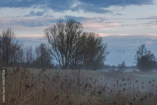 Fototapeta Fog over meadow in Wegrow County, Masovia region of Poland