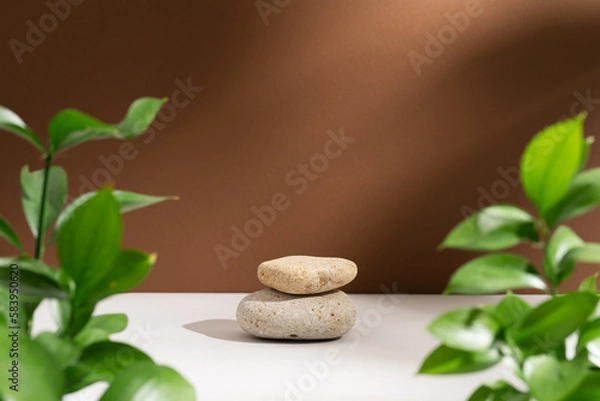 Fototapeta Empty stone podium and green branches with soft shadows on brown background. Eco backdrop with round natural rocks and fresh leaves. Pedestal or showcase for presentation. Wabi sabi concept.