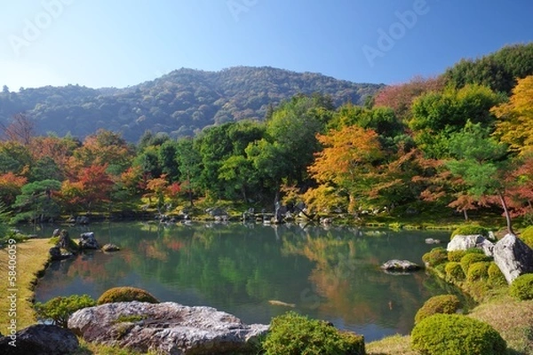 Fototapeta 秋の天龍寺