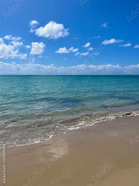 Fototapeta A beach with a blue sky and white clouds