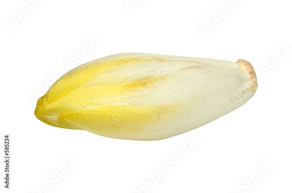 Fototapeta endive