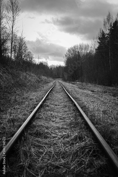 Fototapeta Old and abandoned railway tracks in the forest