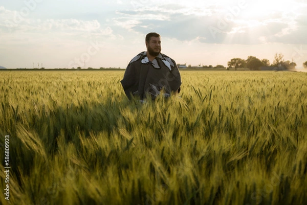 Obraz portrait of adult man standing in a wheat field at sunset