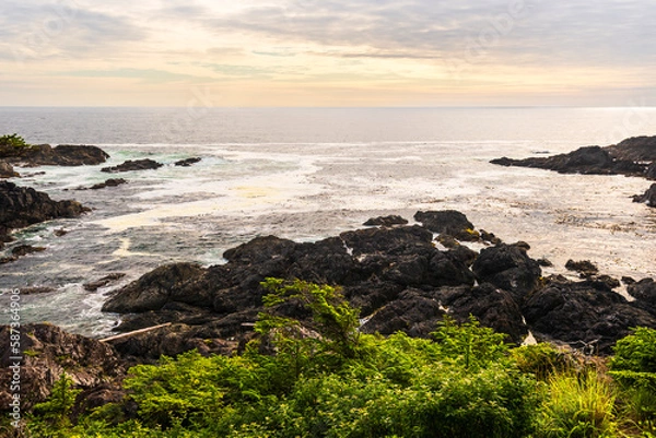 Fototapeta seascape inside Vancouver island during a summer seaso