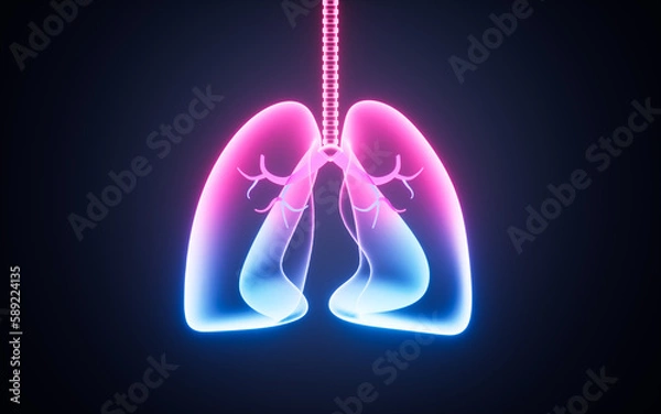 Fototapeta Diseased human lungs, human respiratory diseases, 3d rendering.