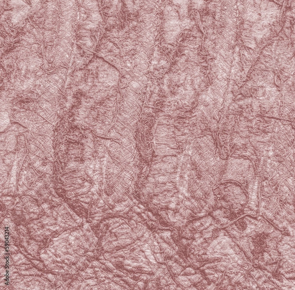 Fototapeta  fragment of natural snake skin