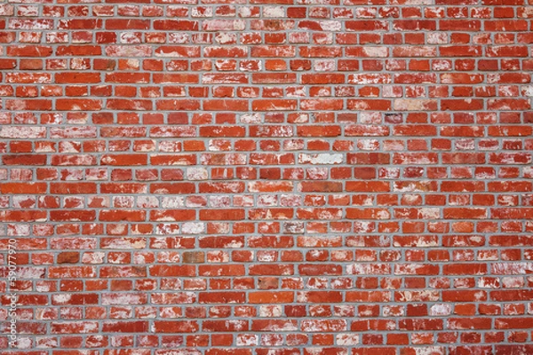 Fototapeta Brick wall