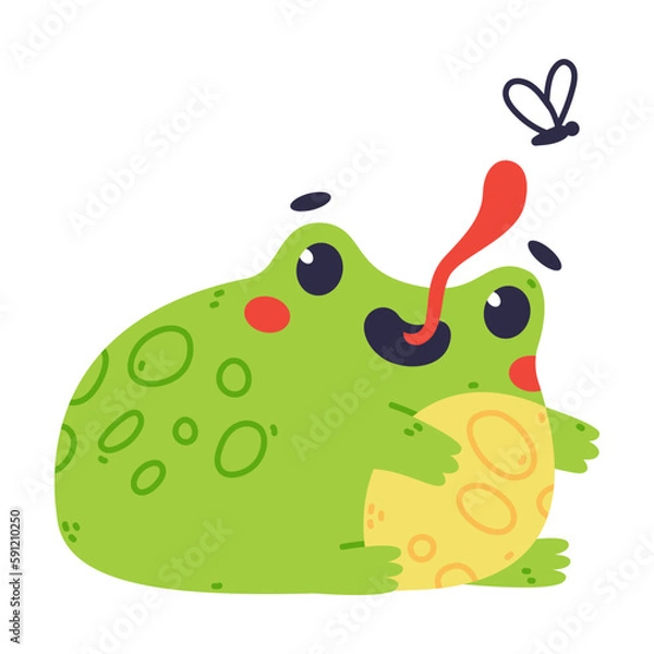 Fototapeta Cute Fat Green Frog or Toad Character Catching Fly with Long Tongue Vector Illustration