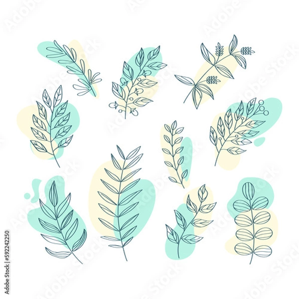 Obraz Flat design of linear leaves and flowers