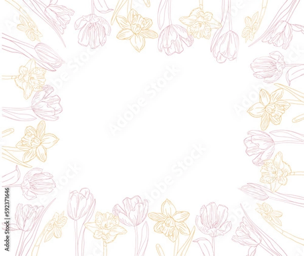 Fototapeta Spring flower frame. Line art tulips and narcissus flower wreath for background design of card or invitations