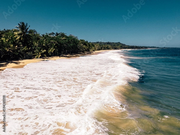 Fototapeta beach with palm trees