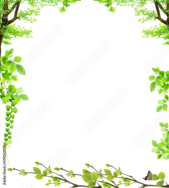 Fototapeta Green leaves Plant isolated