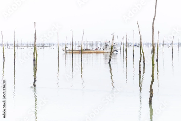 Fototapeta bateau au milieu des huitres