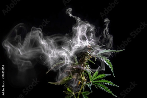 Fototapeta marijuana plant in smoke