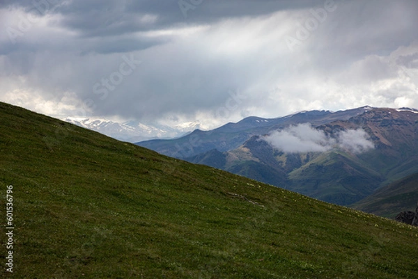 Obraz summer mountains green grass and blue sky landscape