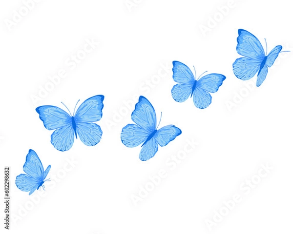 Fototapeta blue butterfly