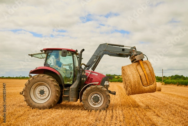 Fototapeta Hay, agriculture and a red tractor on a farm for sustainability outdoor on an open field during the harvest season. Nature, sky and clouds with an agricultural vehicle harvesting in the countryside