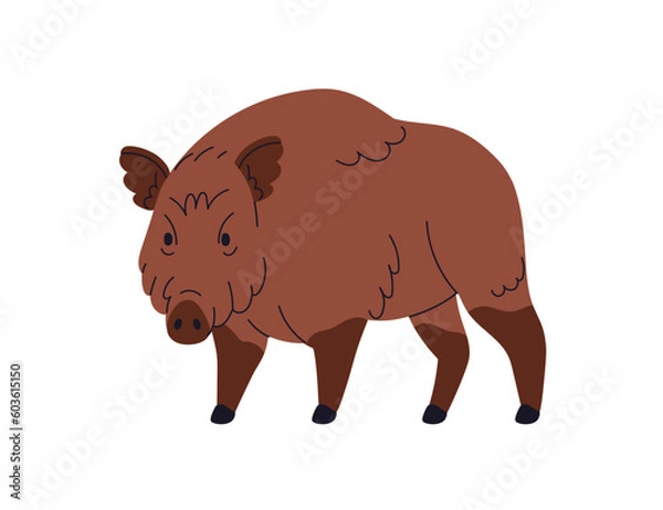 Fototapeta Wild boar, large forest pig, hog with brown fur. European Eurasian Sus Scrofa, swine beast. Woods fauna, omnivore mammal. Flat vector illustration isolated on white background