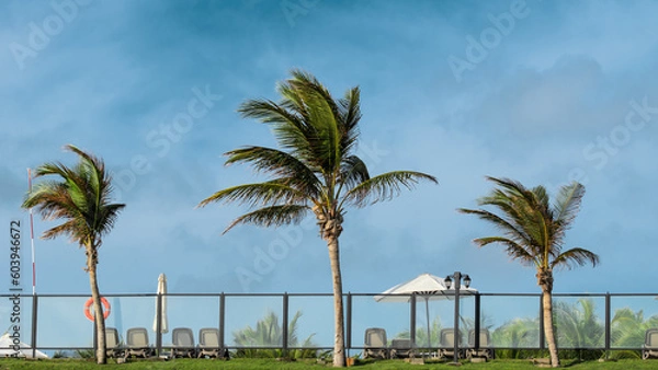 Fototapeta Sun lounger, beach umbrella and beautiful palm trees nearby. Great place to relax during vacations. Luxury hotel on tropical beach. Sea storm with rain and tornado on tropical beach with palm trees.