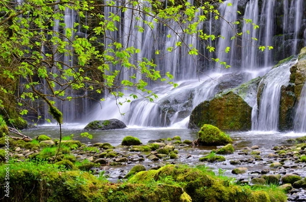 Fototapeta Wasserfall