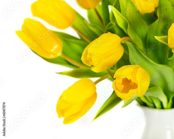 Fototapeta Yellow tulip flowers