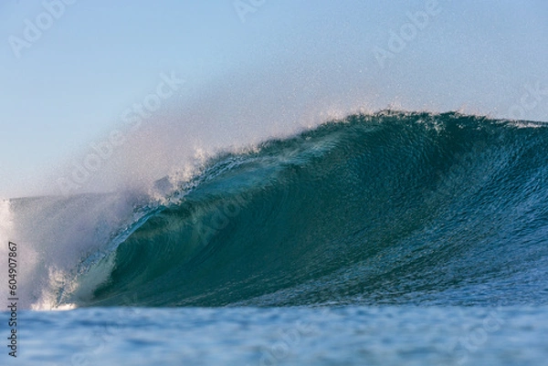 Fototapeta perfect wave breaking on a coral reef