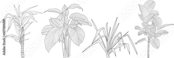 Fototapeta Leaves isolated on white collection. Tropical leaves set. Hand drawn abstract illustration.