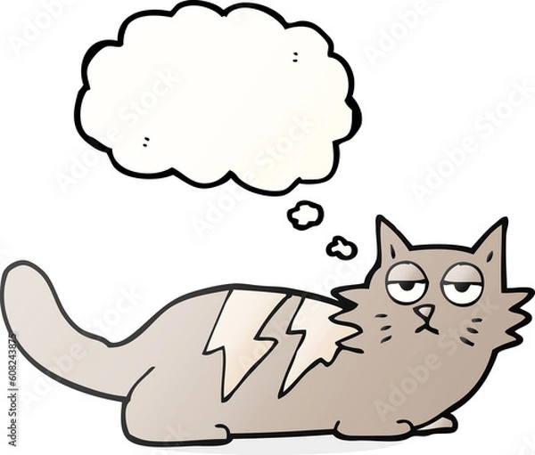 Obraz freehand drawn thought bubble cartoon cat