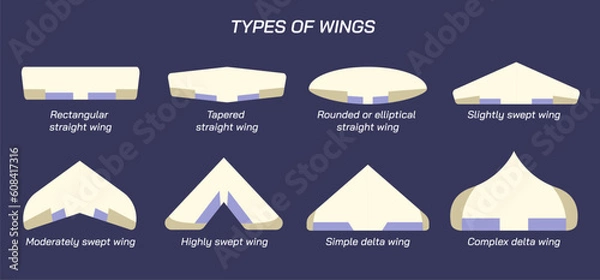 Fototapeta Airplane wings and positions vector illustration. Some important wing types. Types of aircrafts.  Types of wings. Chord variations along span. Delta wings, wing sweep, other types of aircrafts. 