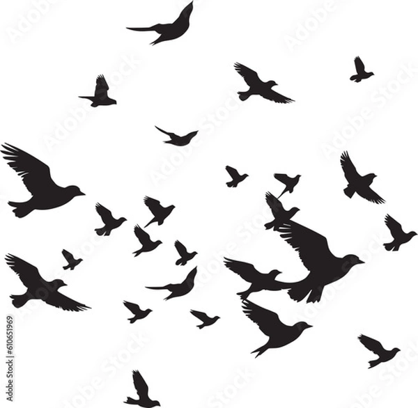 Fototapeta Black vector flying birds flock silhouettes isolated on white background