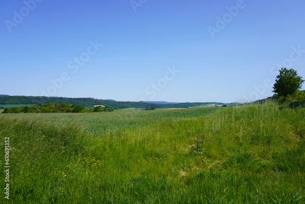 Fototapeta Blick ins Leinebergland bei Hoyershausen in Niedersachsen