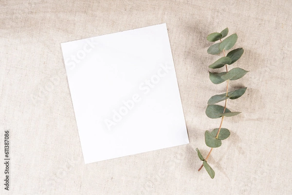 Fototapeta Natural linen canvas, eucalyptus branch and clean postcard. Blank greeting card.