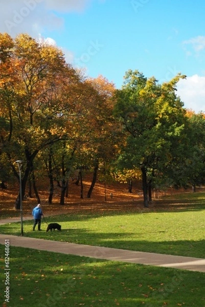 Fototapeta Vertical shot of a man walking his dog in the park in autumn.