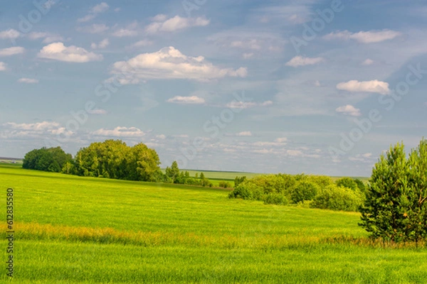 Fototapeta Summer landscape, ravines, meadows, green grasses of the summer landscape, the European part of the earth, sultry summer