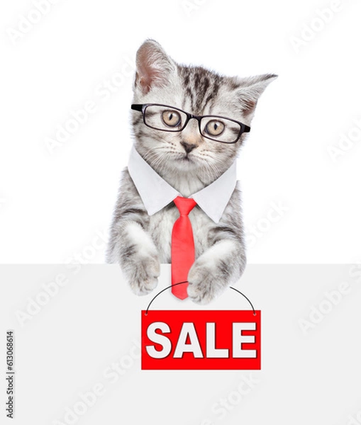 Fototapeta Smart cat wearing eyeglasses and necktie looks above empty white banner and  holds signboard with labeled "sale". isolated on white background