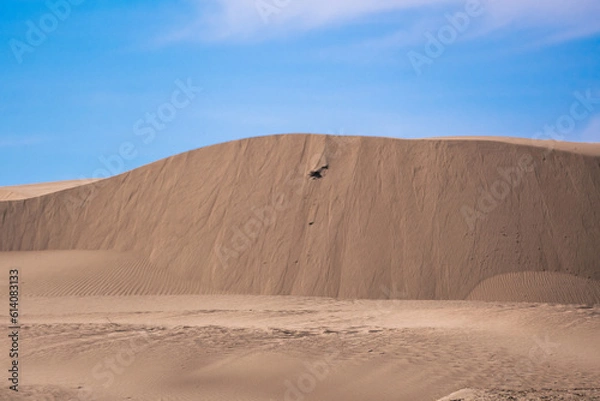 Fototapeta Elsen Tasarkhai or mini-Gobi is located 280km west of Ulaanbaatar in Mongolia, It is a sand dune that stretches 80km long, and 5km wide in Hugnu-Tarna National Park