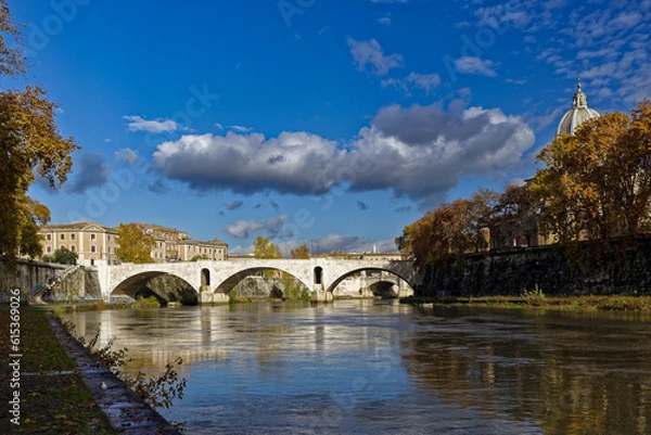 Fototapeta Tibre à Rome en automne