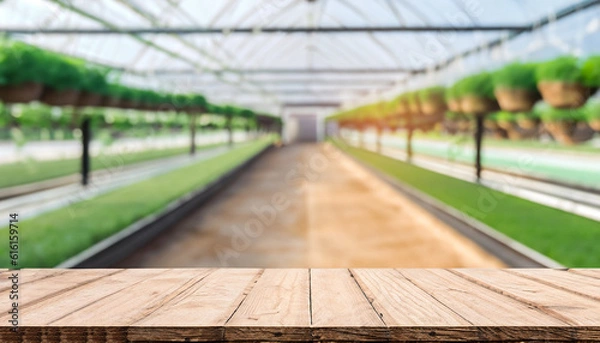 Obraz Wooden table top on blur plant vegetable or fruit organic farm background. For place food, drink or health care business. Fresh landscape and relax season concept. View of copy space.